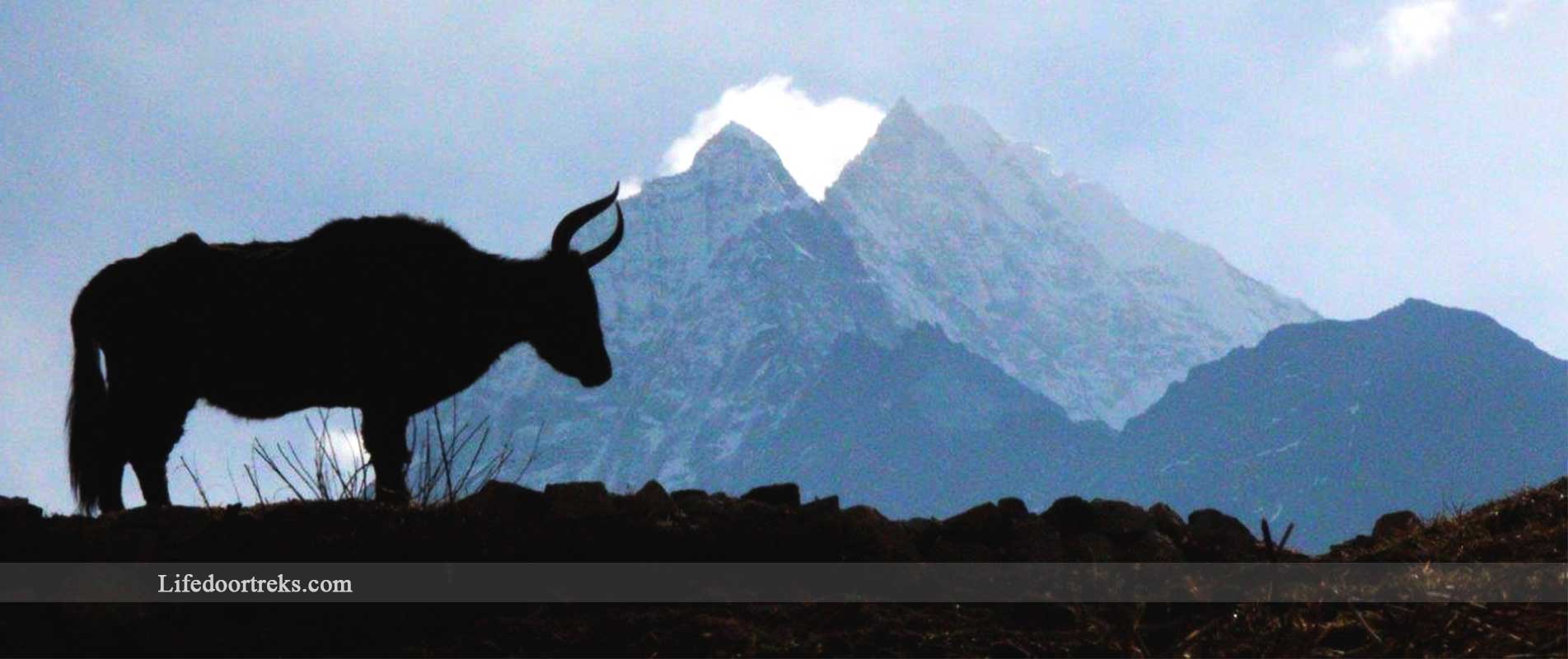 naturally-beautiful-annapurna